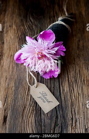 merci - une fleur de pivoine rose dans un cône avec une carte de remerciement Banque D'Images