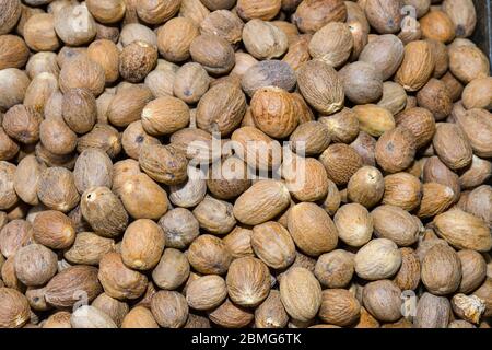 Tas de noix de muscade sèches sur le marché ouvert. Fresh mace et Nutmeg avec mise au point sélective Banque D'Images