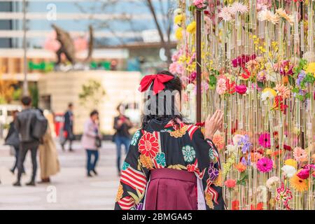 Femme japonaise dans un kimono hakama de derrière touchant un mur de fleurs Banque D'Images