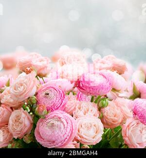 Fleurs roses frais Banque D'Images