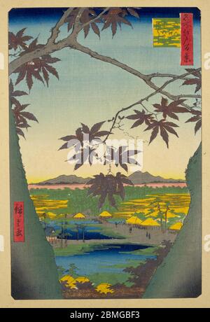 [ 1850 Japon - automne à Edo ] — vue automnale sur le sanctuaire de Tekona et le fleuve Edogawa à Edo (Tokyo actuel), 1857 (Ansei, 4). Cette impression en bois est l'image 94 dans une centaine de vues célèbres d'Edo (名所江戸百景, Meisho Edo Hyakkei), une série créée par l'artiste ukiyoe Utagawa Hiroshige (歌川広重, 1797–1858). C'est l'une des 26 scènes d'automne de la série. Titre: Les arbres d'érable à Mama, le sanctuaire de Tekona et le pont de Tsugihashi (真間の紅葉手古那の社継はし, Mama no momiji Tekona no yashiro Tsugihashi) 19ième siècle vintage Ukiyoe bois imprimé. Banque D'Images