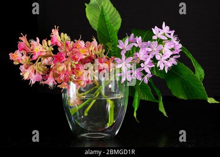 Arrangement floral de fleurs de printemps colorées en pleine fleur Banque D'Images