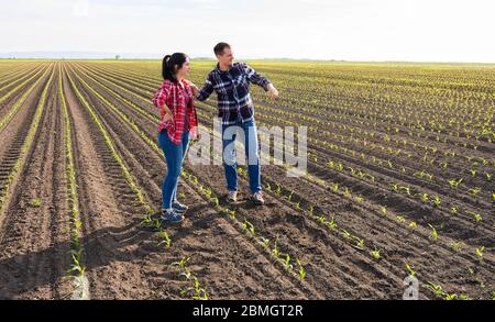 Les jeunes agriculteurs qui ont examiné la question ont planté de jeunes maïs au printemps Banque D'Images