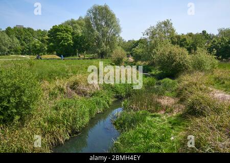 La Moselle au terrain de loisirs de Lordship, Tottenham, au nord de Londres, Royaume-Uni Banque D'Images