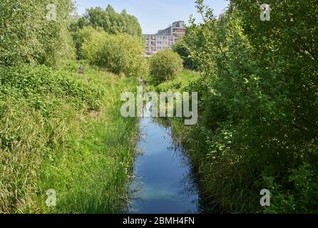 La Moselle sur le terrain de loisirs de Lordship, Tottenham, dans le nord de Londres, en direction de Broadwater Farm Banque D'Images
