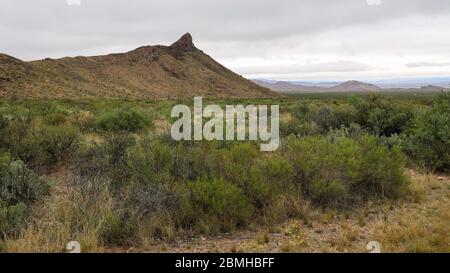 Lone Mountain, vue depuis le centre d'accueil de Panther Junction, parc national de Big Bend, Texas Banque D'Images