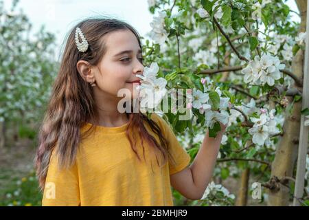 Fille avec un long cheveux bouclés prenant la fleur avec la main allant à l'odeur de pomme en fleur printemps arbre Banque D'Images