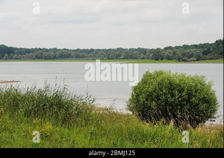 Rive du réservoir Lac d'Orient en France par une journée ensoleillée en été Banque D'Images