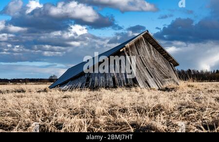 S'est effondrée traditionnelle scandinave hangar en bois non peint dans le champ, les agriculteurs ont gardé des machines et des outils pour l'agriculture, stockage pendant le travail saisonnier, hist Banque D'Images