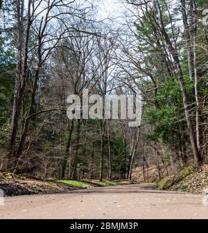 Photo d'une route de terre dans les bois au printemps, dans le comté de Warren, en Pennsylvanie, aux États-Unis Banque D'Images