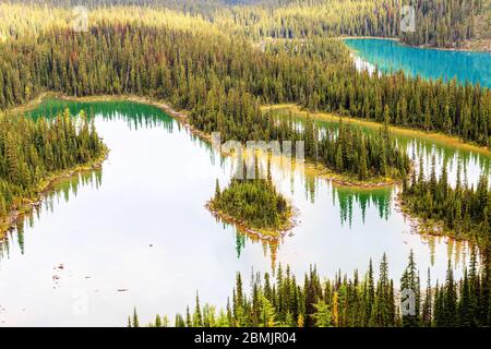 Vue aérienne du lac Mary et du lac O'Hara avec réflexions de pins dans les Rocheuses canadiennes du parc national Yoho en Colombie-Britannique. Banque D'Images