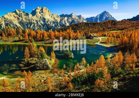 Pittoresque forêt d'automne colorée avec lac alpin. Des larches colorées et petite maison mignonne sur la rive du lac de la Federa, Dolomites, Italie, Banque D'Images