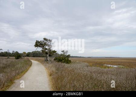 Réserve du patrimoine de plantation de Botanique Bay et zone de gestion de la faune sur l'île d'Edisto en Caroline du Sud, États-Unis Banque D'Images