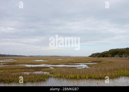 Réserve du patrimoine de plantation de Botanique Bay et zone de gestion de la faune sur l'île d'Edisto en Caroline du Sud, États-Unis Banque D'Images