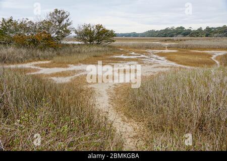 Réserve du patrimoine de plantation de Botanique Bay et zone de gestion de la faune sur l'île d'Edisto en Caroline du Sud, États-Unis Banque D'Images