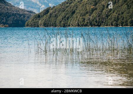 Lago Hermoso, Bariloche, Patagonie, Argentine Banque D'Images
