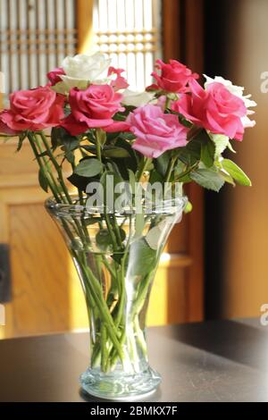 Roses colorées en gros plan Banque D'Images