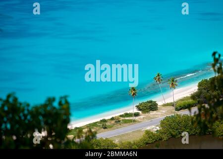 Plage de Darkwood avec palmiers vus d'un point d'observation élevé à Antigua. Banque D'Images