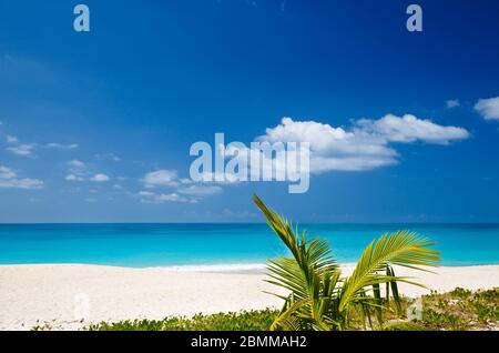 La plage des caraïbes est parfaite à Antigua. Banque D'Images