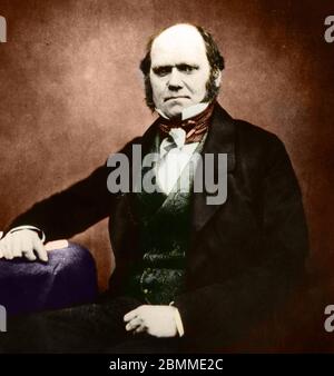 Portrait de Charles Darwin (1809 - 1882), naturiste anglais en 1855 - Portrait de Charles Darwin naturaliste anglais Banque D'Images