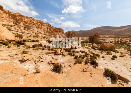 Érodé et bizarre formé des rochers et des rochers de couleur orange dans la Valle de Rocas, ou la vallée de pierre, dans le désert du sud de la Bolivie Banque D'Images