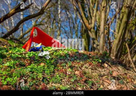 Déchets de plastique dans une décharge couverte du nord-ouest de l'Allemagne avec narcisse Banque D'Images