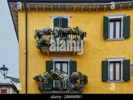 Extérieur d'une maison avec balcons pleins de plantes en pots fleuries, volets verts et mur jaune dans le centre historique de Bardolino, Vérone, Italie Banque D'Images