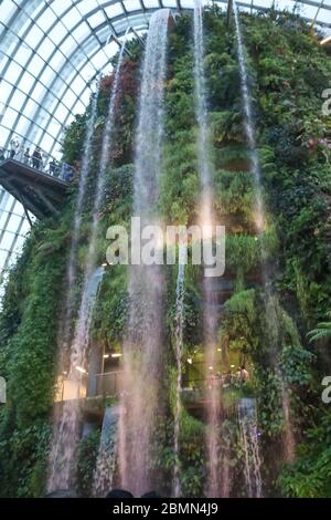 Singapour-ville-SINGAPOUR-0006Oct192019 cascades en cascade dans l'exposition intérieure des jardins de Singapour au bord de la baie.eau tombant à 35 m du t Banque D'Images