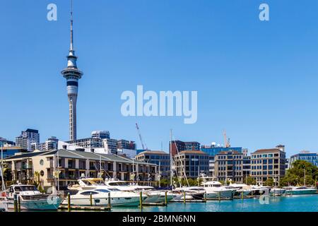 Vue sur Viaduct Marina vers la Sky Tower à Auckland, Nouvelle-Zélande. Banque D'Images