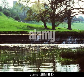 Cascade sur la rivière ALN au château d'Alnwick Banque D'Images