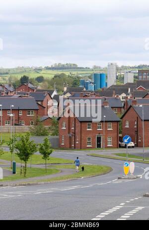 Magheralin, County Armagh, Irlande du Nord. 10 mai 2020. Météo britannique - plus frais et venteux dans le vent du nord-est, mais une journée de printemps très agréable néanmoins. Une femme promenant deux chiens le long d'une route vide alors que les gens du village respectent les messages "rester à la maison" et "distanciation sociale". Crédit : CAZIMB/Alamy Live News. Banque D'Images