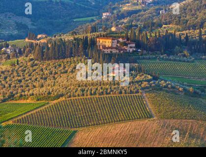 Vue sur les vignobles en direction de Montigliari, près de Greve in Chianti, région du Chianti, Toscane, Italie. Banque D'Images