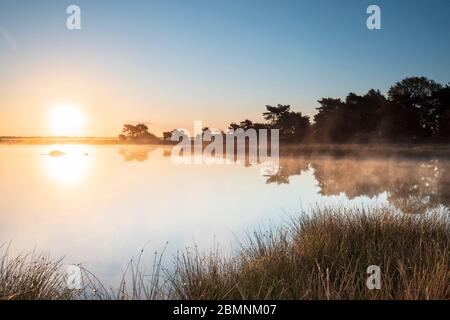 magnifique lever de soleil brumeux sur le lac forestier Banque D'Images
