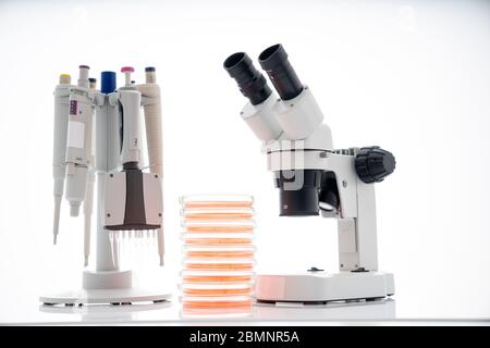 microscope, boîtes de petri et support de pipette par laboratoire microbiologique. La réponse immunitaire de l’organisme de recherche aux aliments pour aider à fournir des conseils sur ce que t Banque D'Images