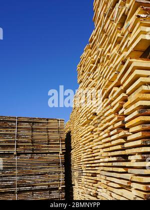 grandes piles de planches en bois à la scierie sur le fond bleu du ciel Banque D'Images