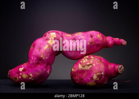 Image basse de grandes patates douces et colorées, fraîches et colorées, et de l'igname et de la patate douce et brute, dans un éclairage studio, contrastent avec un arrière-plan sombre Banque D'Images