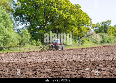 Tracteur Massey Ferguson S7718 rouge, terrain de labourage, Sutton, Suffolk, Angleterre, Royaume-Uni Banque D'Images