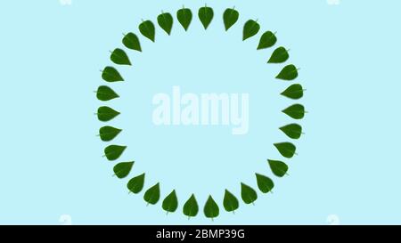 Forme circulaire feuilles de lilas motif, dynamique et lumineux. Copier l'espace au centre. Fait de photos. Modèle printemps ou été abstrait. Fond bleu clair Banque D'Images