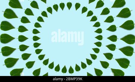 Forme circulaire feuilles de lilas motif, dynamique et lumineux. Copier l'espace au centre. Fait de photos. Modèle printemps ou été abstrait. Fond bleu clair Banque D'Images