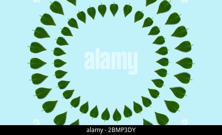 Forme circulaire feuilles de lilas motif, dynamique et lumineux. Copier l'espace au centre. Fait de photos. Modèle printemps ou été abstrait. Fond bleu clair Banque D'Images