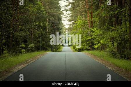 Route droite et ondulée à travers une forêt Banque D'Images