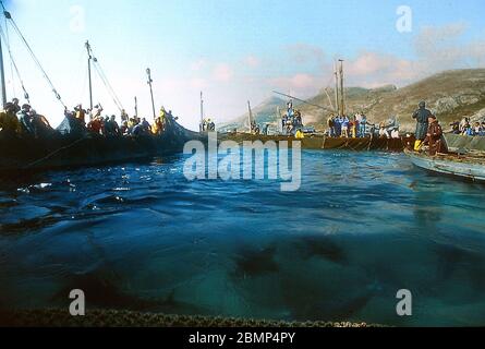 Îles Aegadiennes, Sicile, Italie. Mai 1983. Tonnara et mattanza. Pêche au thon sur l'île de Favignana. La caméra della Morte (en. Chambre de la mort). Banque D'Images