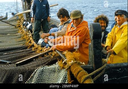 Îles Aegadiennes, Sicile, Italie. Mai 1983. Tonnara et mattanza. Pêche au thon sur l'île de Favignana. Les pêcheurs transportent dans les filets. Banque D'Images