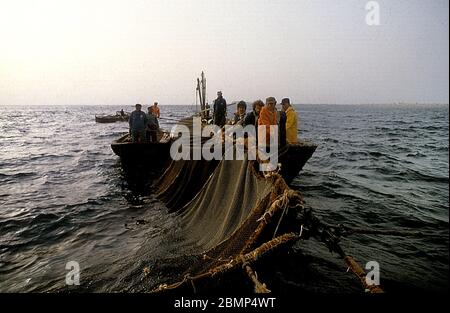 Îles Aegadiennes, Sicile, Italie. Mai 1983. Tonnara et mattanza. Pêche au thon sur l'île de Favignana. Les pêcheurs transportent dans les filets. Banque D'Images