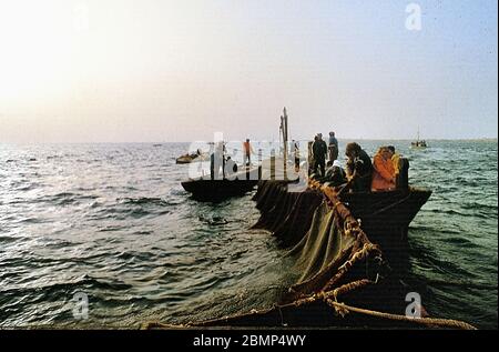 Îles Aegadiennes, Sicile, Italie. Mai 1983. Tonnara et mattanza. Pêche au thon sur l'île de Favignana. Les pêcheurs transportent dans les filets. Banque D'Images