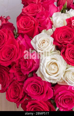 Bouquet de roses rouges, roses et blanches multicolore Banque D'Images