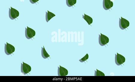 Forme circulaire feuilles de lilas motif, dynamique et lumineux. Copier l'espace au centre. Fait de photos. Modèle printemps ou été abstrait. Fond bleu clair Banque D'Images