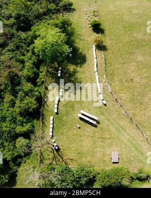 Vue aérienne de la ferme de miel en bordure de la forêt Banque D'Images