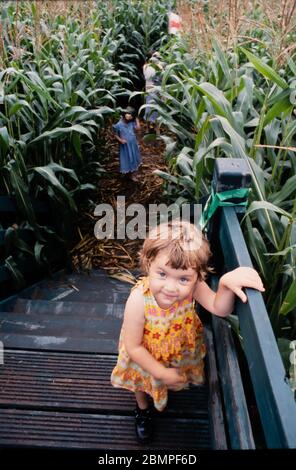 Un jeune enfant / fille dans un labyrinthe de maïs, Royaume-Uni Banque D'Images