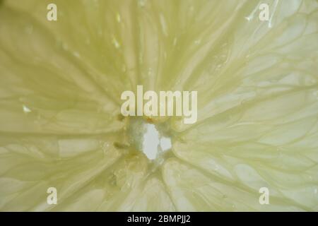 gros plan macro photographie d'une tranche de citron sur fond blanc vif Banque D'Images